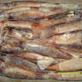 Frozen BQF 150 200g ILLEX Argentinus Squid Prix